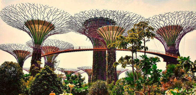 Biofilia En La Arquitectura Y El Dise o M xico Design